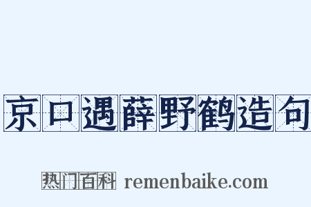 京口遇薛野鹤造句是什么意思的图片